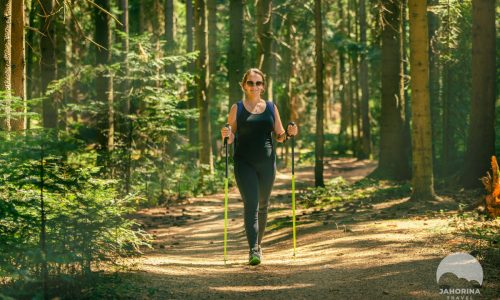Woman hiking on Jahorina mountain. Walks through the dense forest using trekking poles. Smile on his face and sunglasses. Sun's rays break through the forest