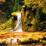 Vrelo Miljacke: Skriveni dragulj Pala na obroncima Ravne planine