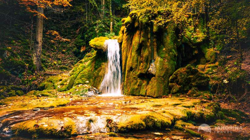 Vrelo Miljacke: Skriveni dragulj Pala na obroncima Ravne planine