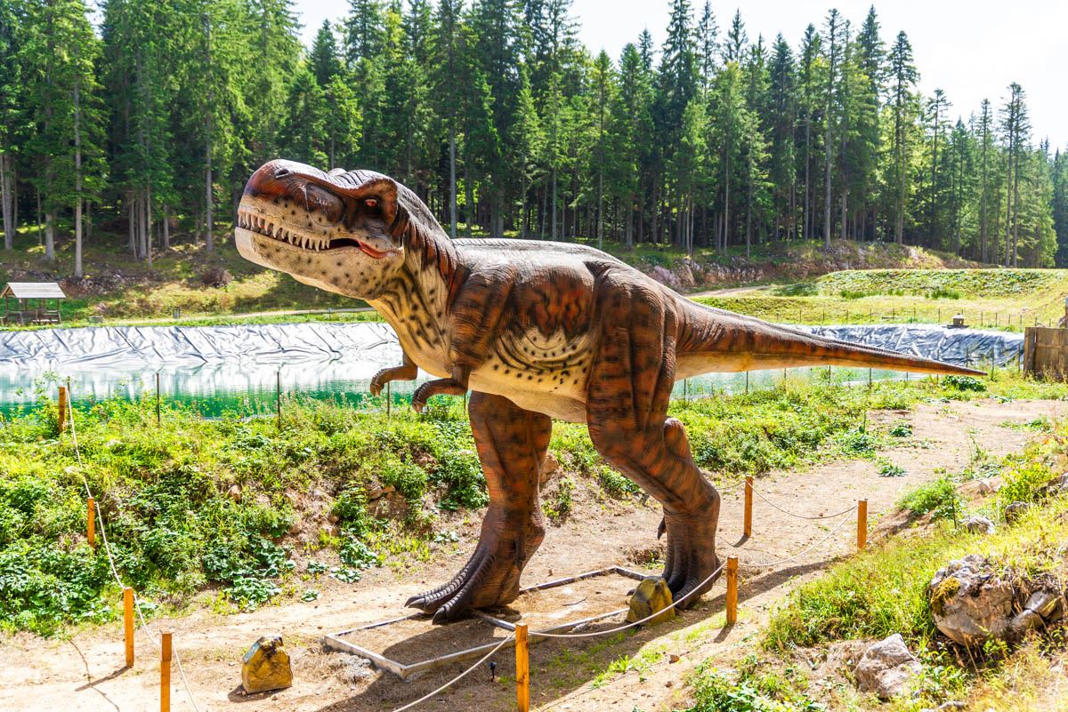 Dino Park